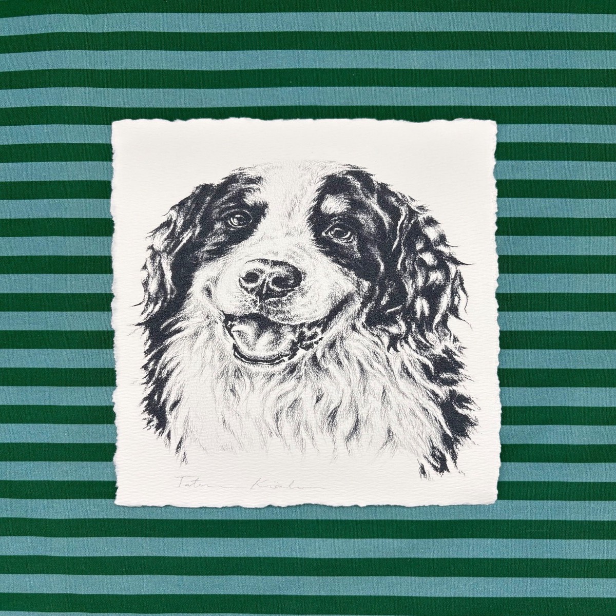 Charcoal Bernese Mountain Dog Print