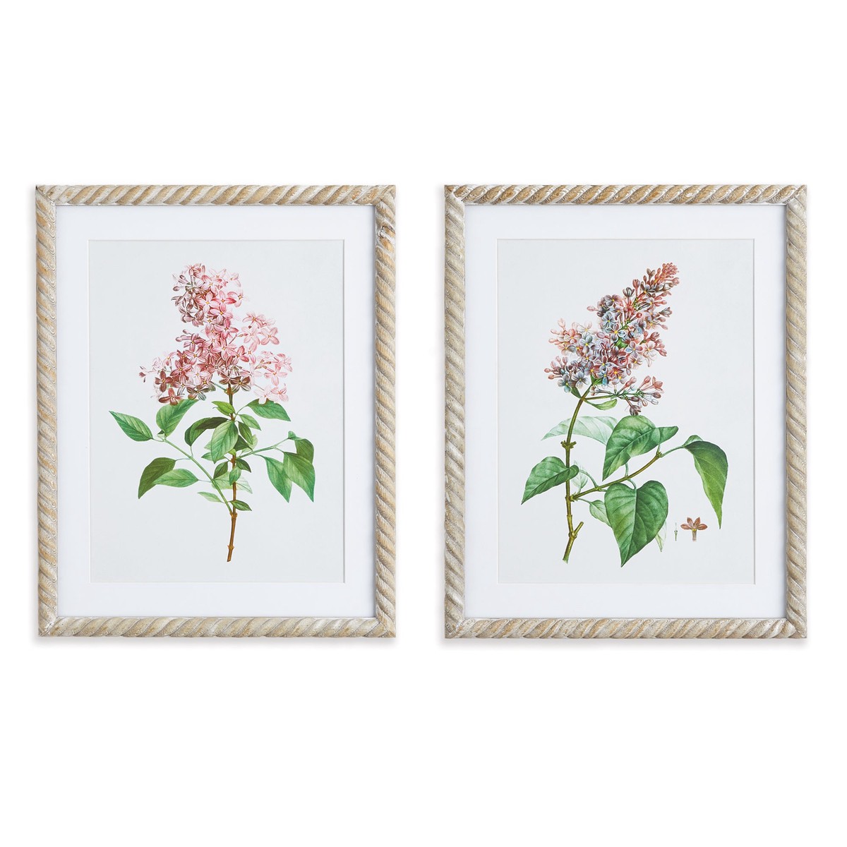 Lilac Cutting Prints Set Of 2 by Napa Home and Garden
