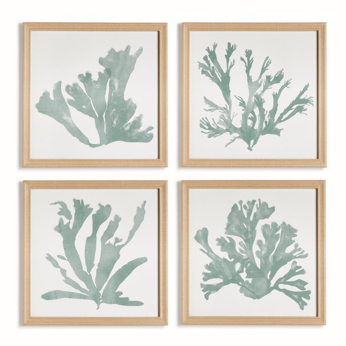 Coral Silhouettes In Soft Green Set Of 4 by Napa Home and Garden