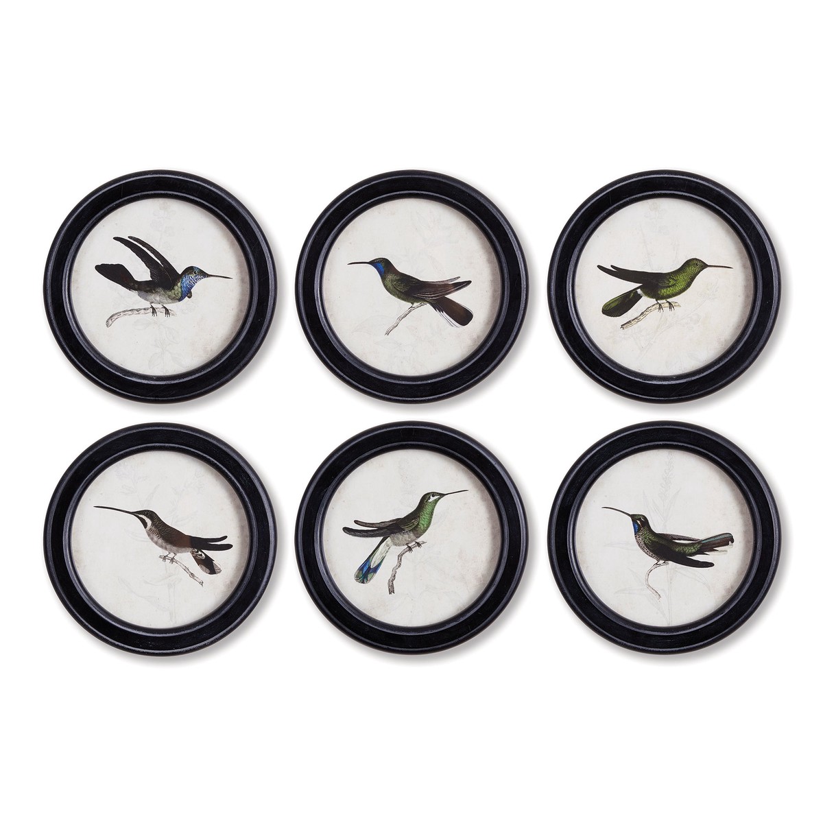 Hummingbird Round Petite Prints Set Of 6 by Napa Home and Garden