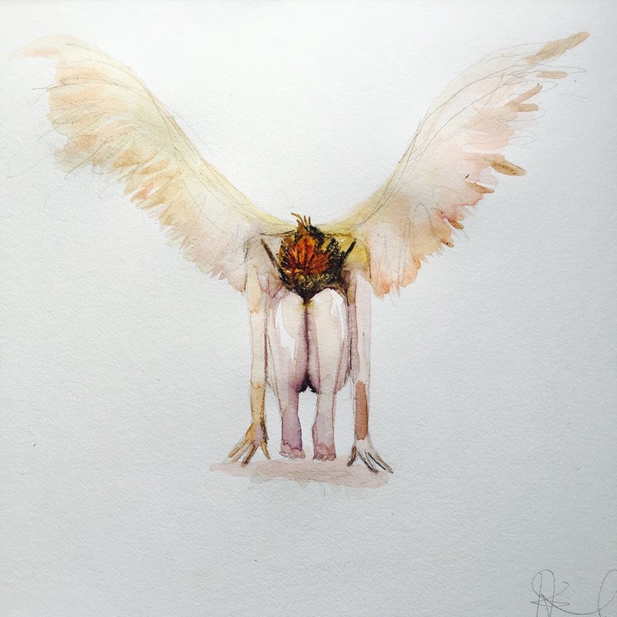 Soar Print